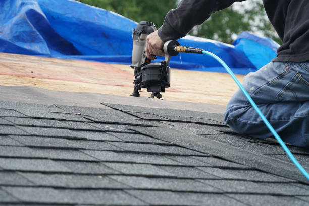 Roof Insulation in The Homesteads, TX